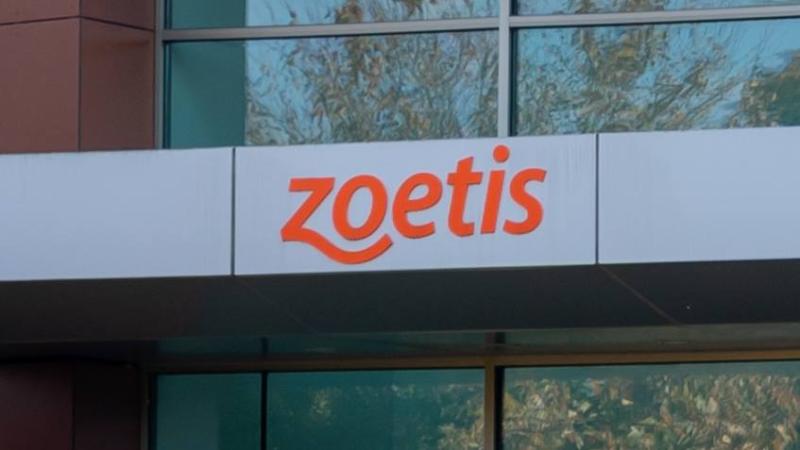 Data Analyst at Zoetis in Hyderabad (On-site) – Apply Now | Data Analyst Jobs in Hyderabad